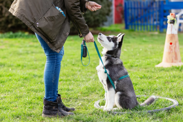 AdobeStock_282473421