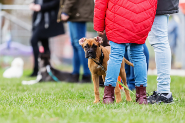 AdobeStock_282481758