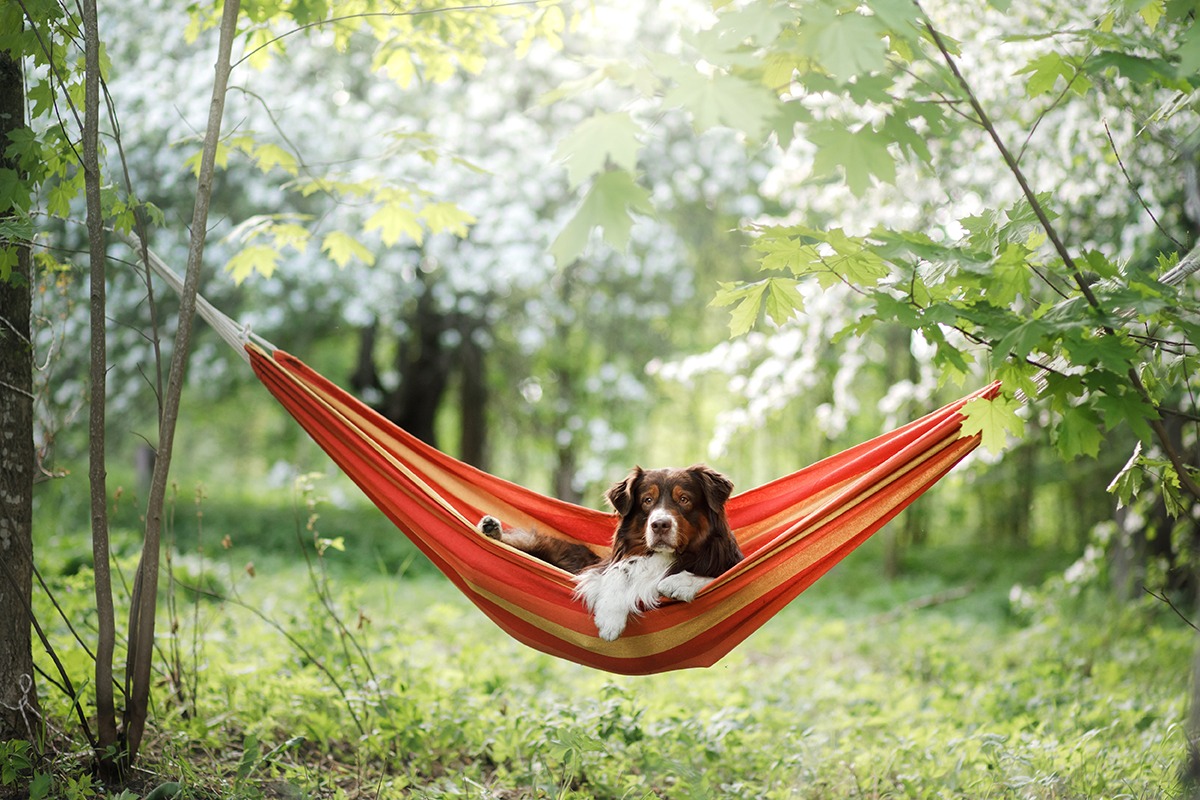Relaxgruppe