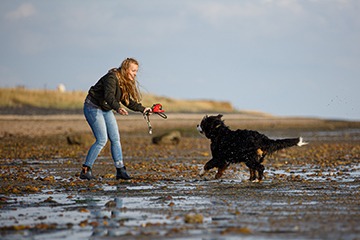 APPELT Mensch+Hund / Deine Hundeschule auf Föhr