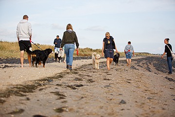 APPELT Mensch+Hund / Deine Hundeschule auf Föhr