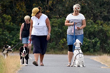 APPELT Mensch+Hund / Deine Hundeschule auf Föhr