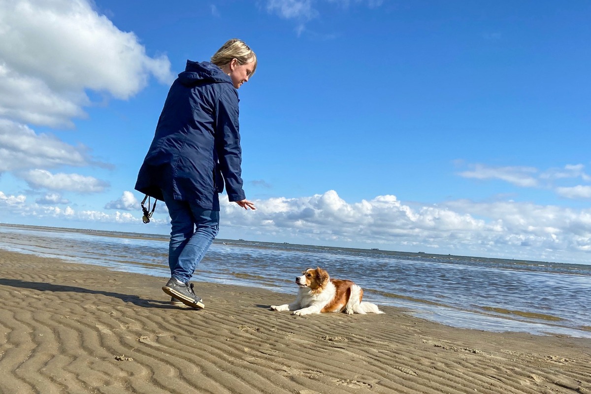 APPELT Mensch+Hund / Deine Hundeschule auf Föhr